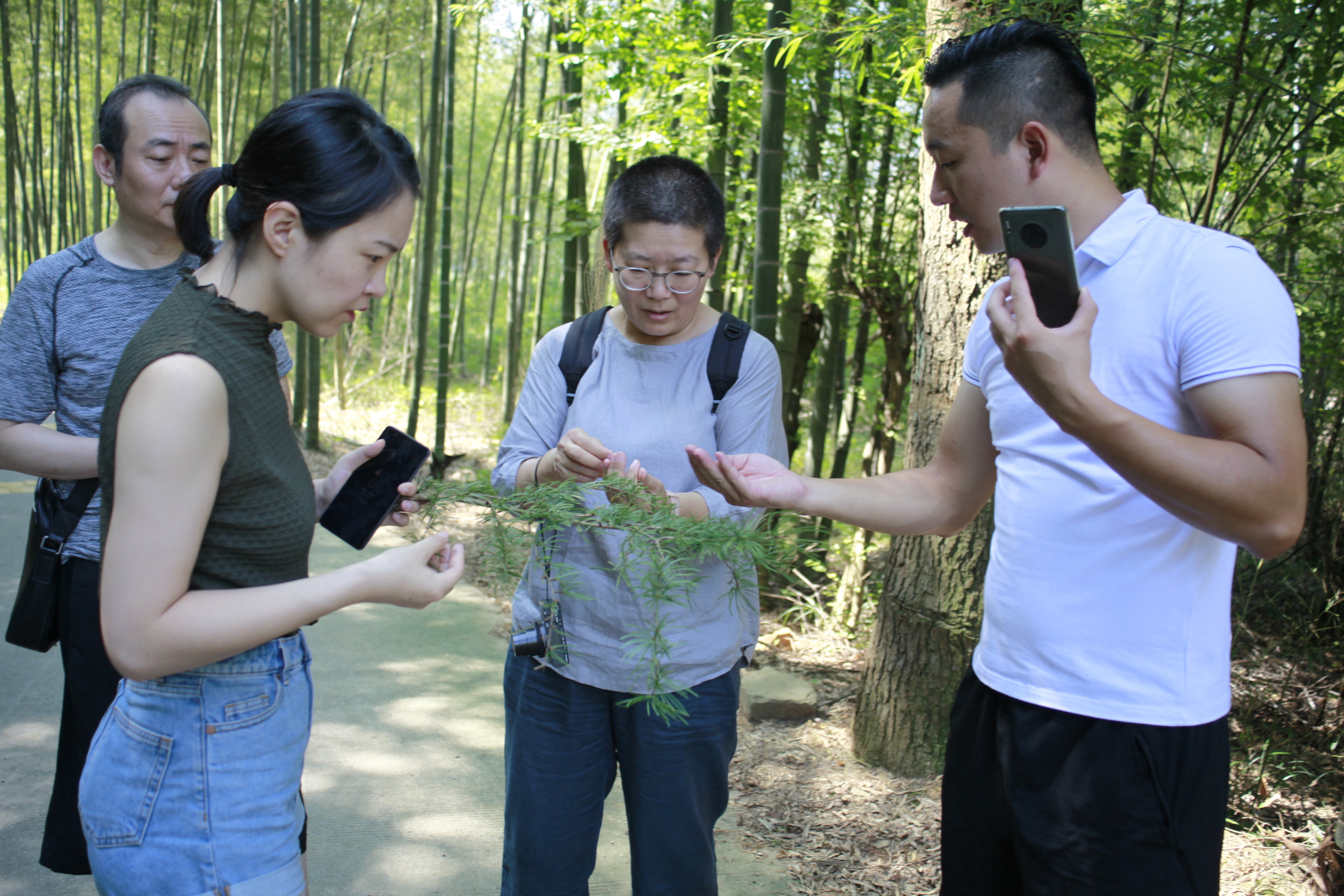 书籍设计艺术家许天琪与她的“纸上山河”(图7)