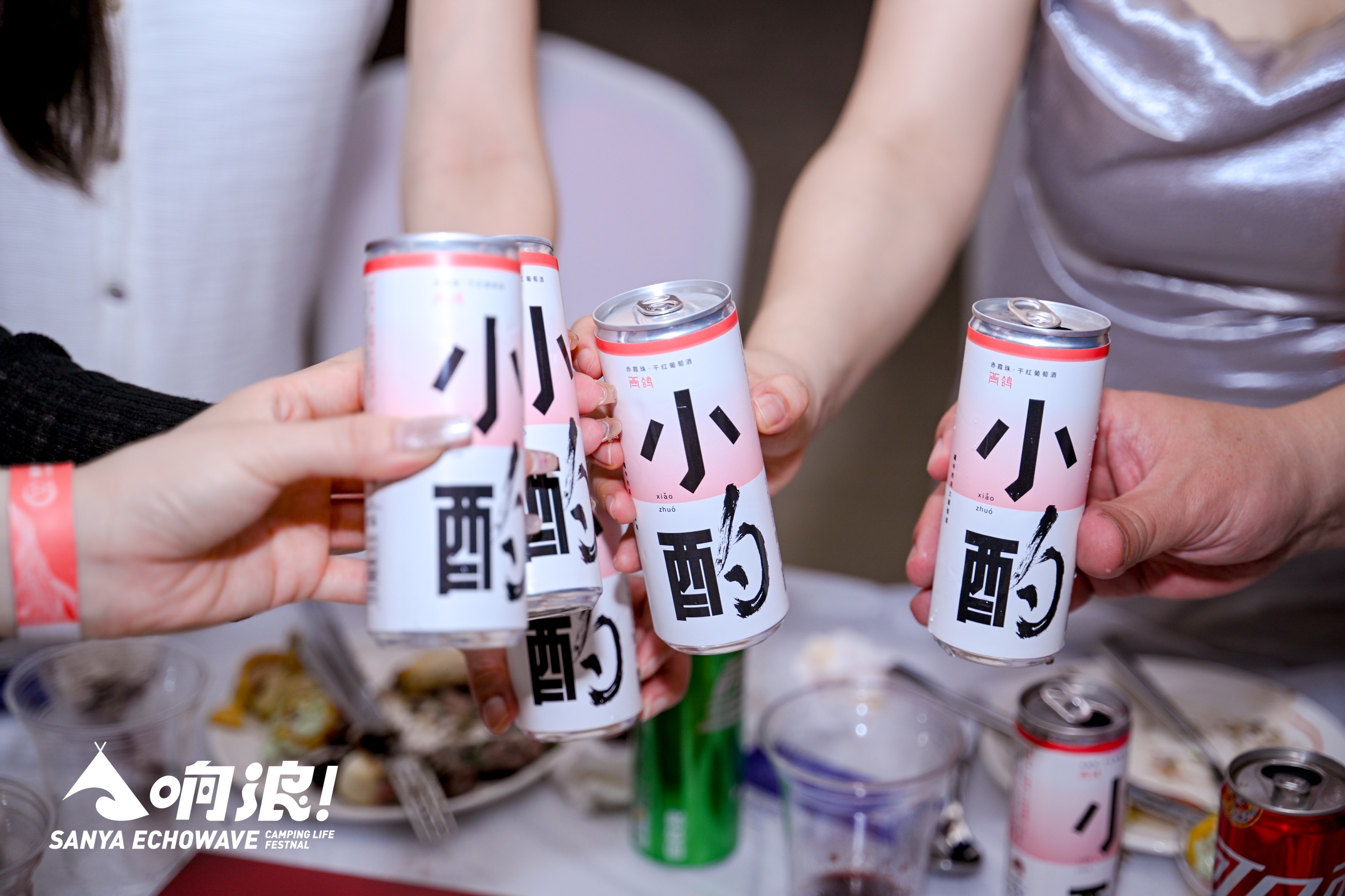 去除瓶装葡萄酒厚重的饮用“仪式感”葡萄酒新喝法来啦(图2)