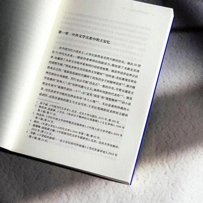 中国文学“走出去”：王安忆小说在法国(图1)