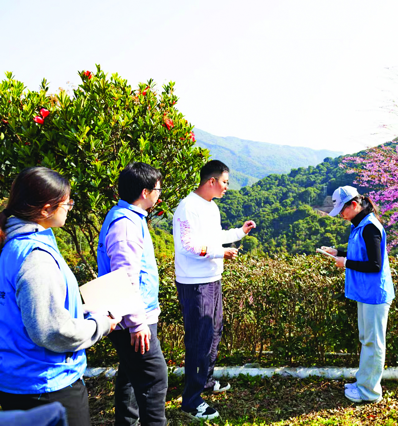 Bsport体育入口：暨大学子助力博罗山茶营销 将“惠州好风景”融入茶包装(图1)