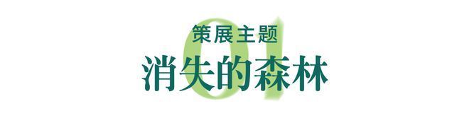 策展 彭征 ×品杭 消失的森林(图2)