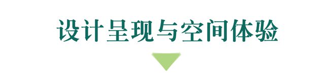策展 彭征 ×品杭 消失的森林(图6)