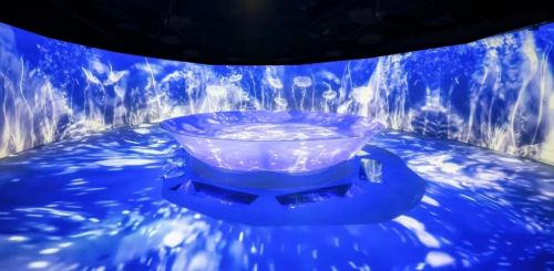 Bsport体育平台：连续25年爱普生重磅发布2024年度可持续发展报告(图8)
