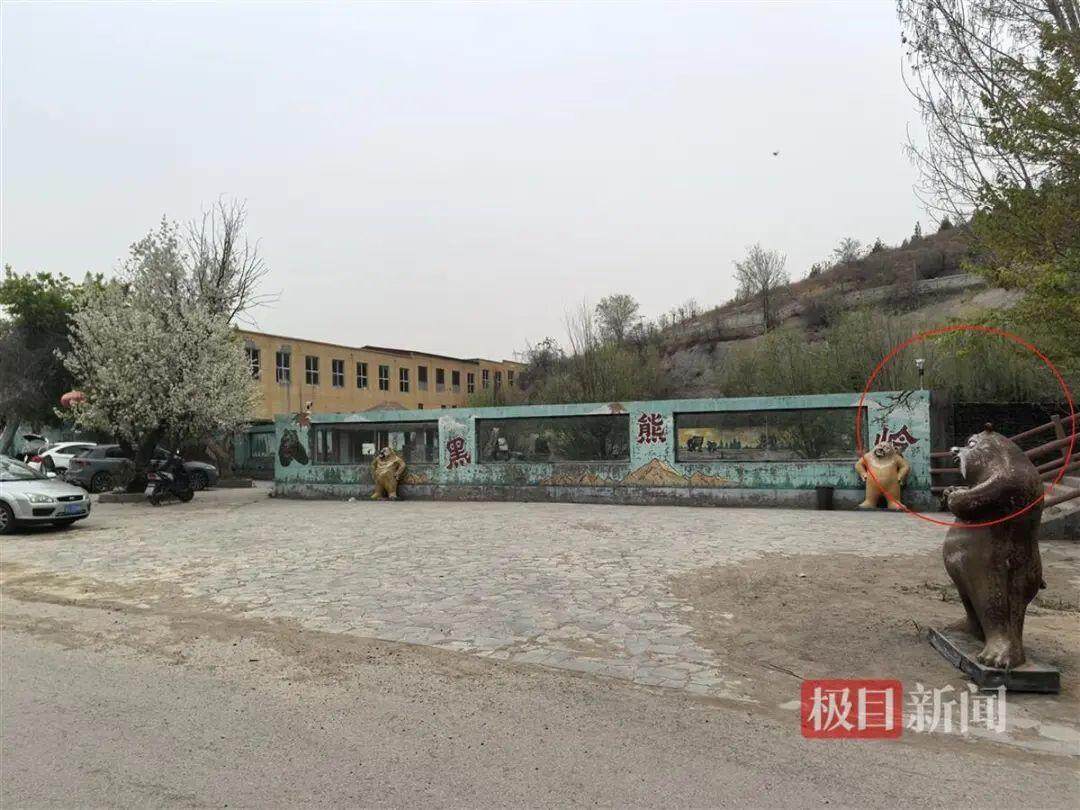Bsport体育官网：邯郸黑熊出逃事件背后：涉事动物园员工已有2个月未发工资(图2)
