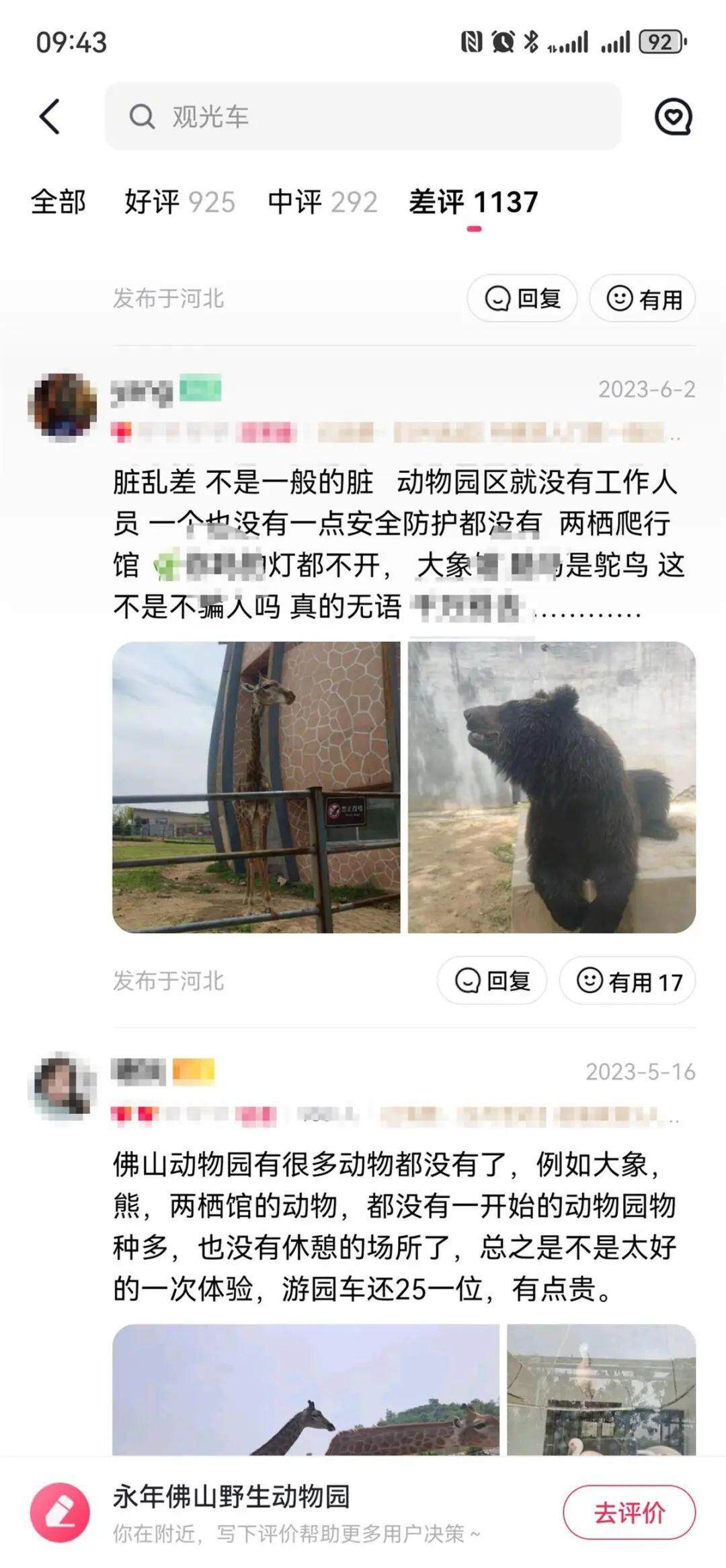 Bsport体育官网：邯郸黑熊出逃事件背后：涉事动物园员工已有2个月未发工资(图4)