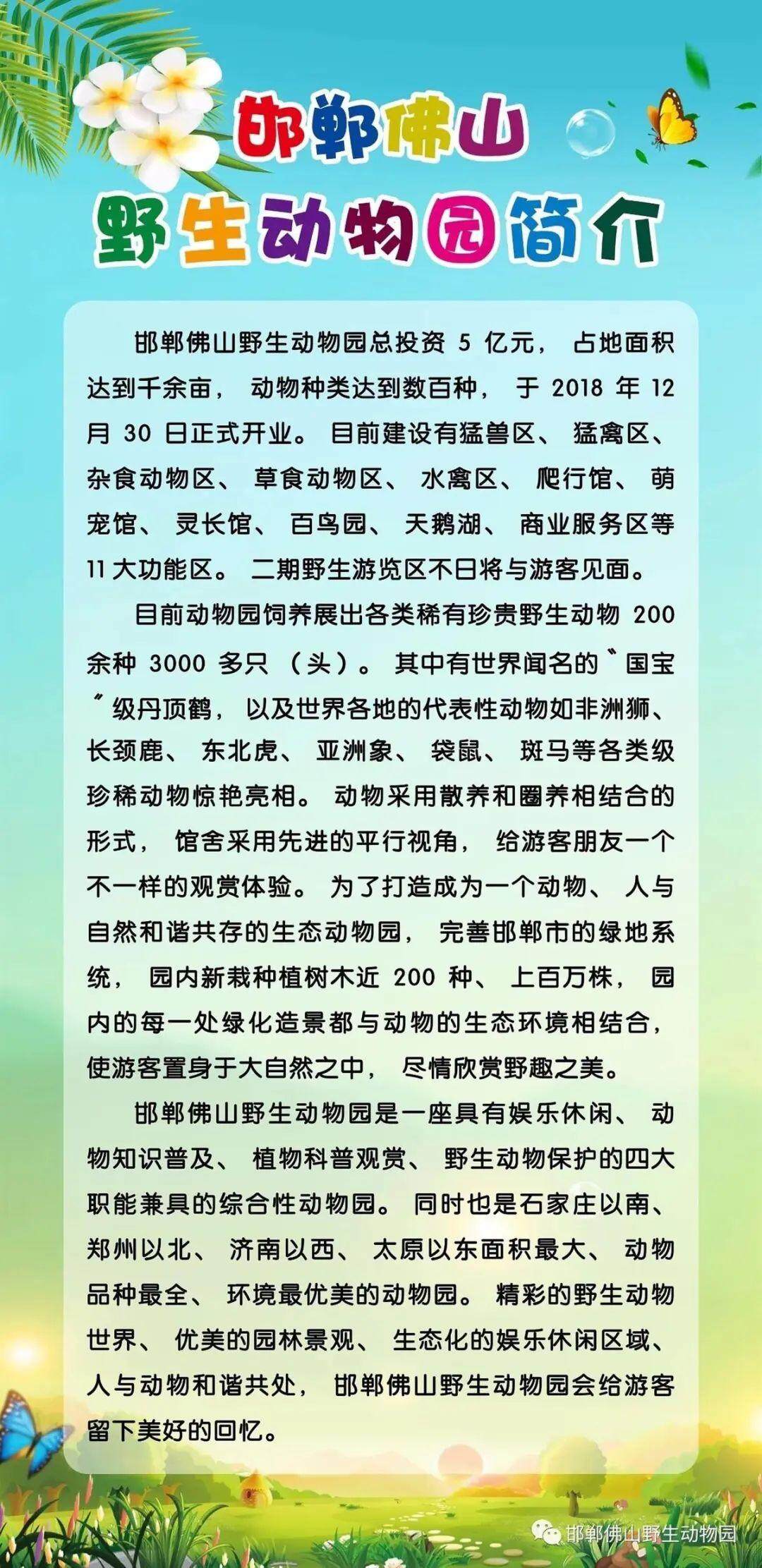 Bsport体育官网：邯郸黑熊出逃事件背后：涉事动物园员工已有2个月未发工资(图5)