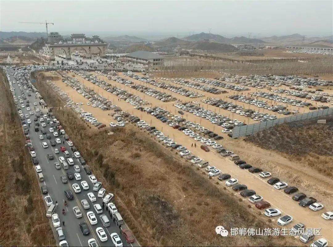 Bsport体育官网：邯郸黑熊出逃事件背后：涉事动物园员工已有2个月未发工资(图6)