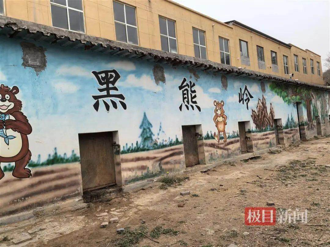Bsport体育官网：邯郸黑熊出逃事件背后：涉事动物园员工已有2个月未发工资(图8)