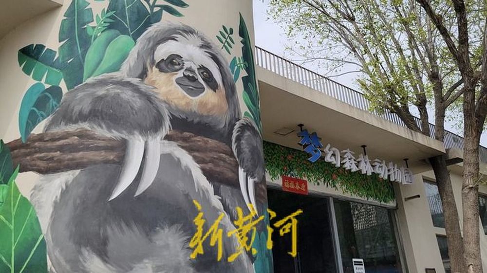老厂房变身城市“绿洲”烟台这个产业园用工业遗存谱写文旅新篇 行走黄河(图3)