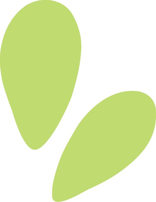 甘蓝和莲藕出圈“嘉鱼蔬菜”品牌越擦越亮丨封面策划③(图1)