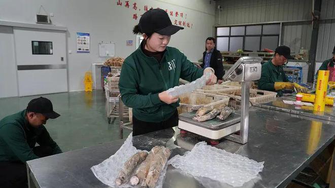甘蓝和莲藕出圈“嘉鱼蔬菜”品牌越擦越亮丨封面策划③(图4)