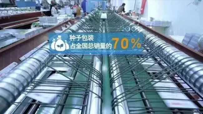 Bsport体育入口：走进济南市商河县玉皇庙镇印刷包装产业园：探寻产业发展新路径(图3)