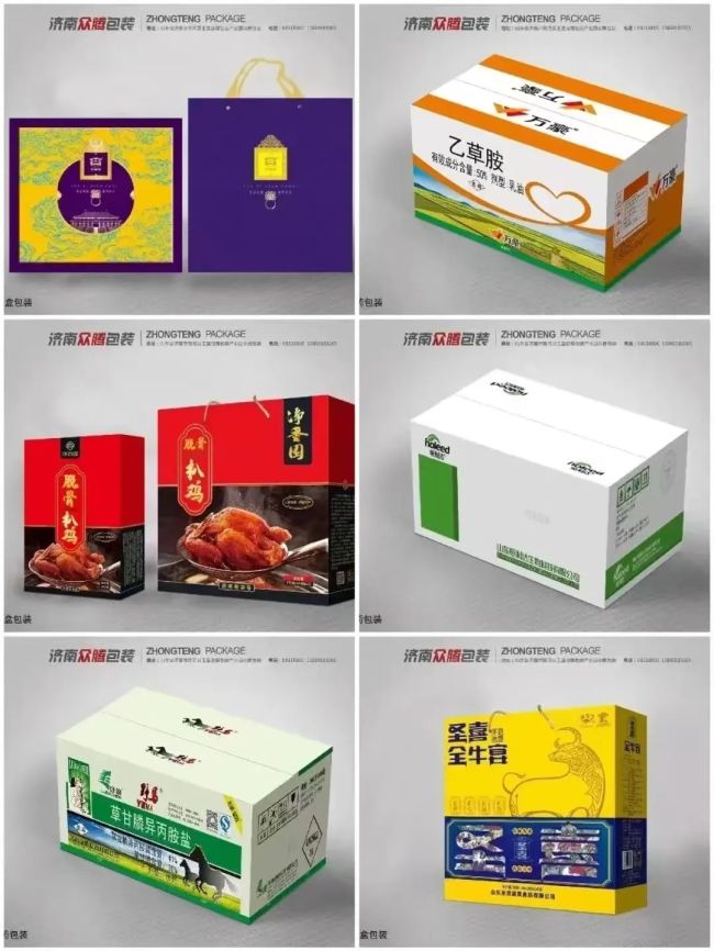 Bsport体育入口：走进济南市商河县玉皇庙镇印刷包装产业园：探寻产业发展新路径(图5)